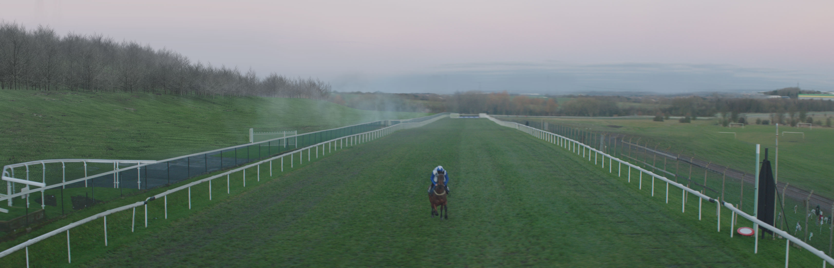 Horse race